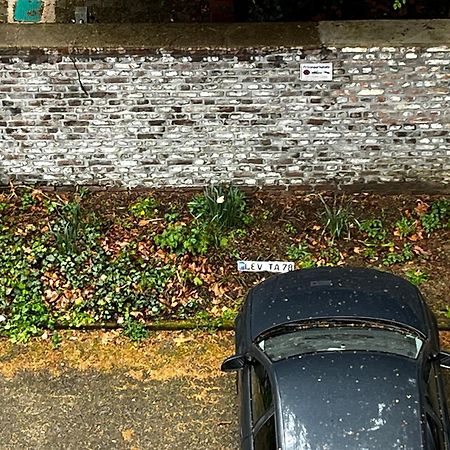 Gemuetliche, Ganze Wohnung In Ruhiger, Zentraler Lage Leverkusen Exteriér fotografie